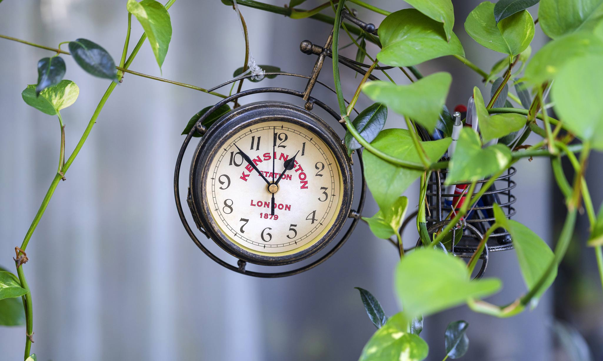 Kalina Apartment offers