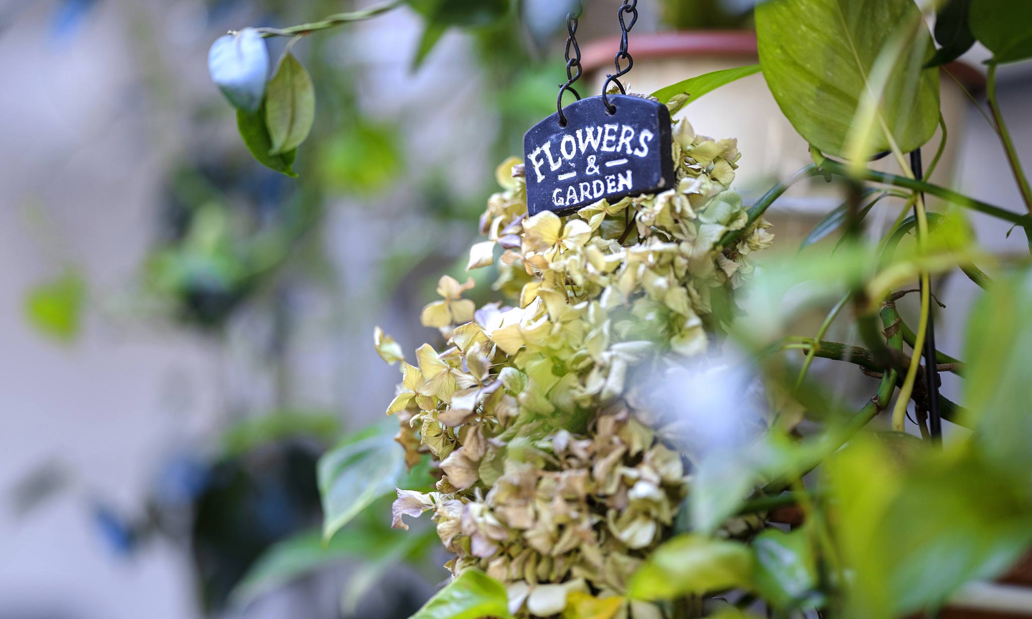 Kalina Apartment offers